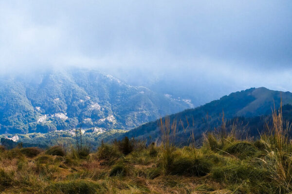 cammino_2023_54
