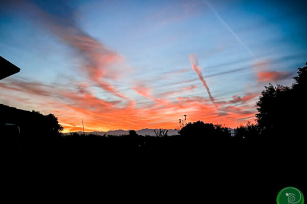 cammino_2023_72